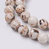 Sea Shell and Synthetic Turquoise Assembled Beads Strands X-G-G758-08-8mm-3
