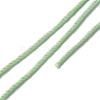 3-Ply Polyester Luminous Yarn OCOR-C003-01E-3