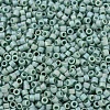 MIYUKI Delica Beads X-SEED-J020-DB2313-3