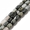 Natural Eagle Eye Stone Beads Strands G-G980-14-1