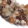 Natural Agate(Dyed & Heated) Beads Strands G-K425-B06-01-3