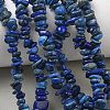 Natural Lapis Lazuli Chip Beads Strands G-E271-121-5