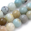 Natural Flower Amazonite Beads Strands X-G-S259-13-8mm-1