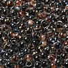 Transparent Glass Round Seed Beads SEED-B001-05A-01-3