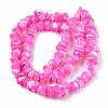 Natural Freshwater Shell Beads Strands SHEL-N003-23-B05-2