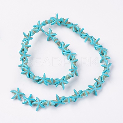 Synthetic Turquoise Beads Strands G-E456-06A-15mm-1