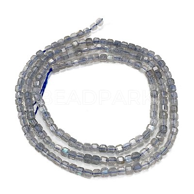 Natural Labradorite Beads Strands G-L597-A01-01-1
