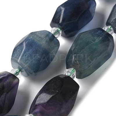 Natural Fluorite Beads Strands G-H095-A06-01-1