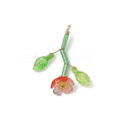 Resin Pendants PALLOY-JF03668-1