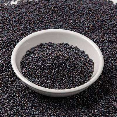 MIYUKI Round Rocailles Beads X-SEED-G009-RR2005-1