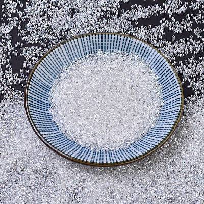 MIYUKI Delica Beads LS-X-SEED-J020-DB0051-1