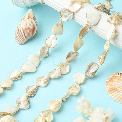 Handmade Shell Beads Strands PBB471-1-1