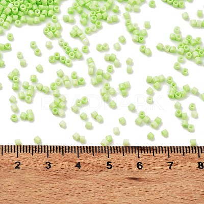 Baking Paint Glass Seed Beads SEED-S042-05B-65-1