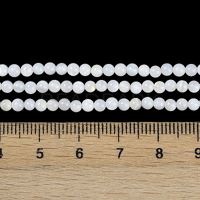 Natural Cultured Freshwater Shell Beads Strands X-BSHE-H109-03A-1