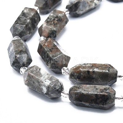 Natural Fluorescent Syenite Rock(Glow under UV Light) Beads Strands G-F715-055-1