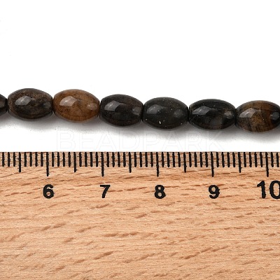 Natural Petrified Wood Beads Strands G-K362-I11-02-1