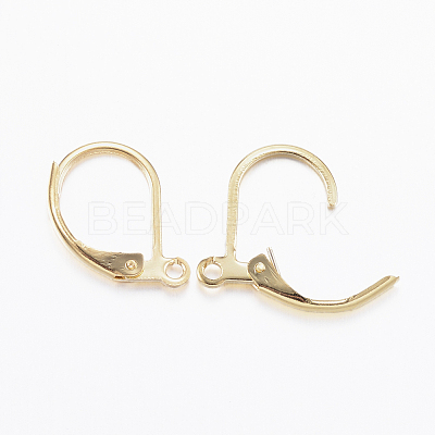 304 Stainless Steel Leverback Earring Findings X-STAS-L190-14G-1
