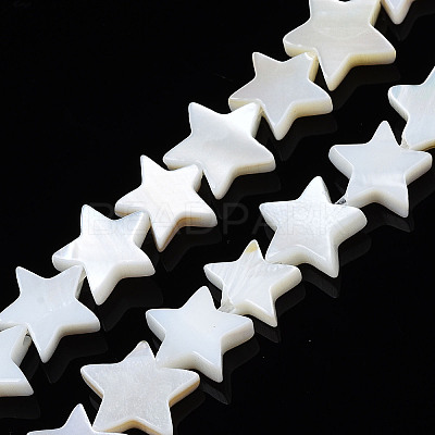 Natural Freshwater Shell Beads Strands X-SHEL-S278-01B-01-1