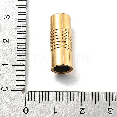 304 Stainless Steel Magnetic Clasps STAS-B082-02C-G-1