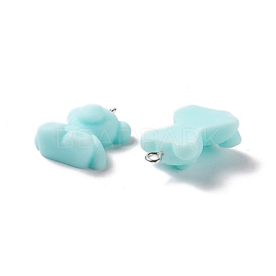 Opaque Resin Pendants RESI-G046-04P-1