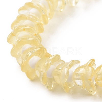 Transparent Glass Beads Strands LAMP-H061-01C-06-1