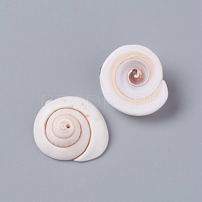 Natural Shiva Eye Shell Beads BSHE-D019-03-1