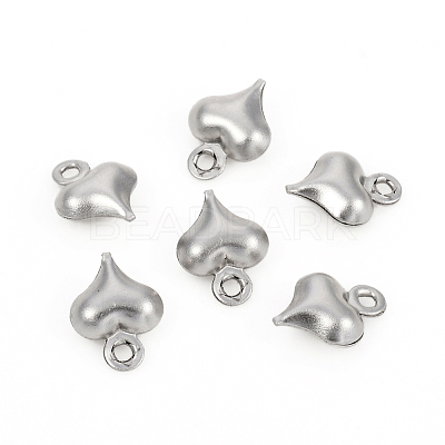 Non-Tarnish 304 Stainless Steel Charms STAS-I149-05C-P-1