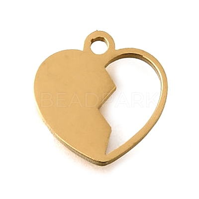 304 Stainless Steel Charms STAS-S178-02G-1