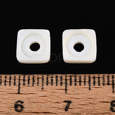 Natural Freshwater Shell Beads BSHE-T014-16-1