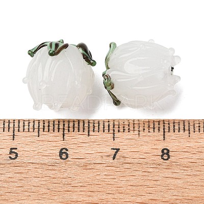 Handmade Lampwork Beads LS-LAMP-F041-02F-1