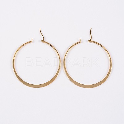 304 Stainless Steel Hoop Earrings X-EJEW-P040-20-B-1
