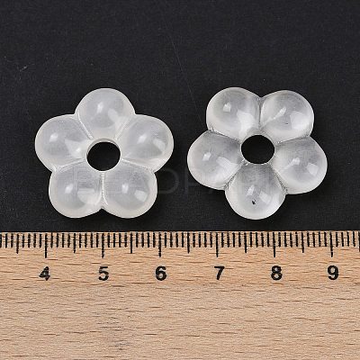 Transparent Glass Beads GLAA-F129-01N-1