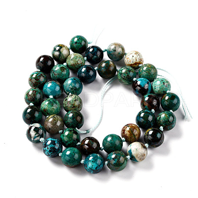Natural Chrysocolla Beads Strands G-G010-16-1