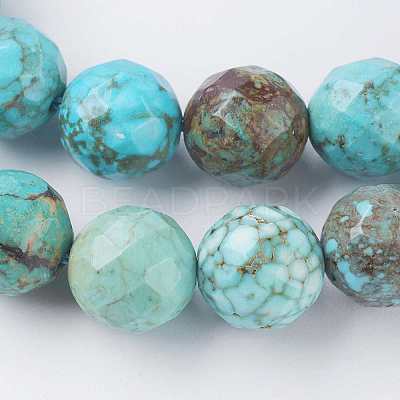 Natural Magnesite Beads Strands TURQ-K004-05-10mm-1