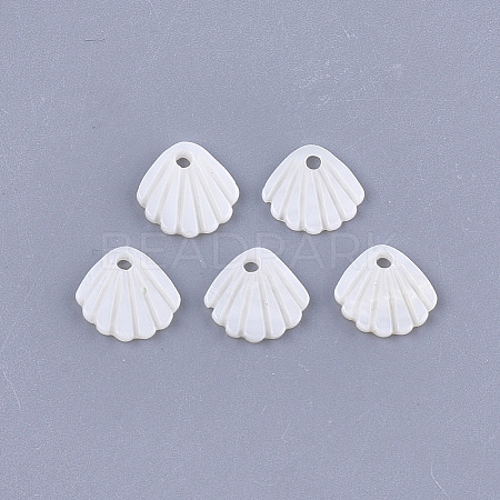 Freshwater Shell Charms LS-SHEL-T012-62-1