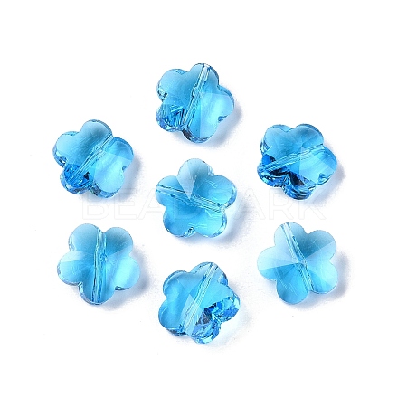 Transparent Glass Beads X-GLAA-Q066-14mm-C09-1
