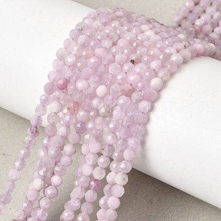 Natural Kunzite Beads Strands G-G343-B04-3mm-1