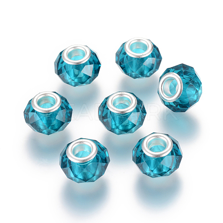 Handmade Glass European Beads LS-X-GPDL25Y-77-1