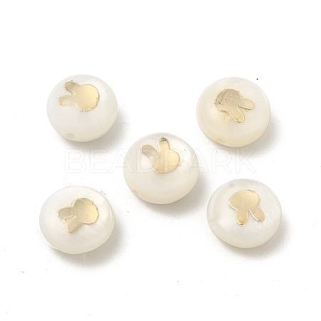 Natural Freshwater Shell Beads BSHE-E026-01-1