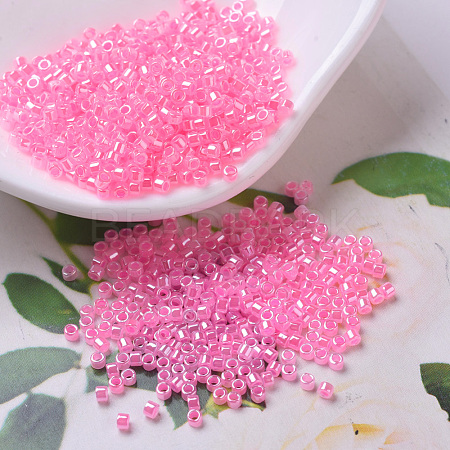 MIYUKI Delica Beads SEED-X0054-DB0246-1