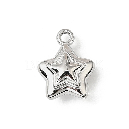 304 Stainless Steel Charms X-STAS-F327-03C-P-1