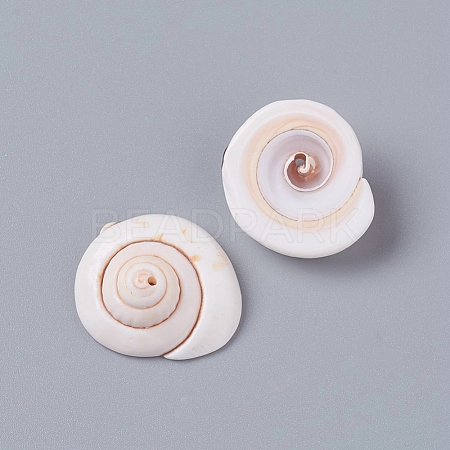 Natural Shiva Eye Shell Beads BSHE-D019-03-1
