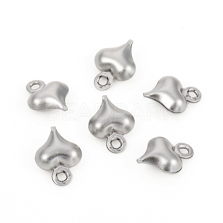 Non-Tarnish 304 Stainless Steel Charms STAS-I149-05C-P-1