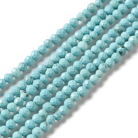 Natural Howlite Beads Strands G-C025-03B-01-1