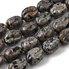 Natural Fluorescent Syenite Rock(Glow under UV Light)  Beads Strands G-K362-D02-03-2