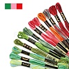 6-Ply Polyester Embroidery Floss OCOR-FZ0001-01C-2