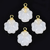 Glass Charms GLAA-N036-02B-2