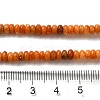 Natural Dolomite Beads Strands G-K350-A01-01E-5
