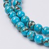 Sea Shell and Synthetic Turquoise Assembled Beads Strands G-G758-04-8mm-3