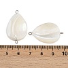 Natural Shell Teardrop Connector Charms STAS-D378-28P-2